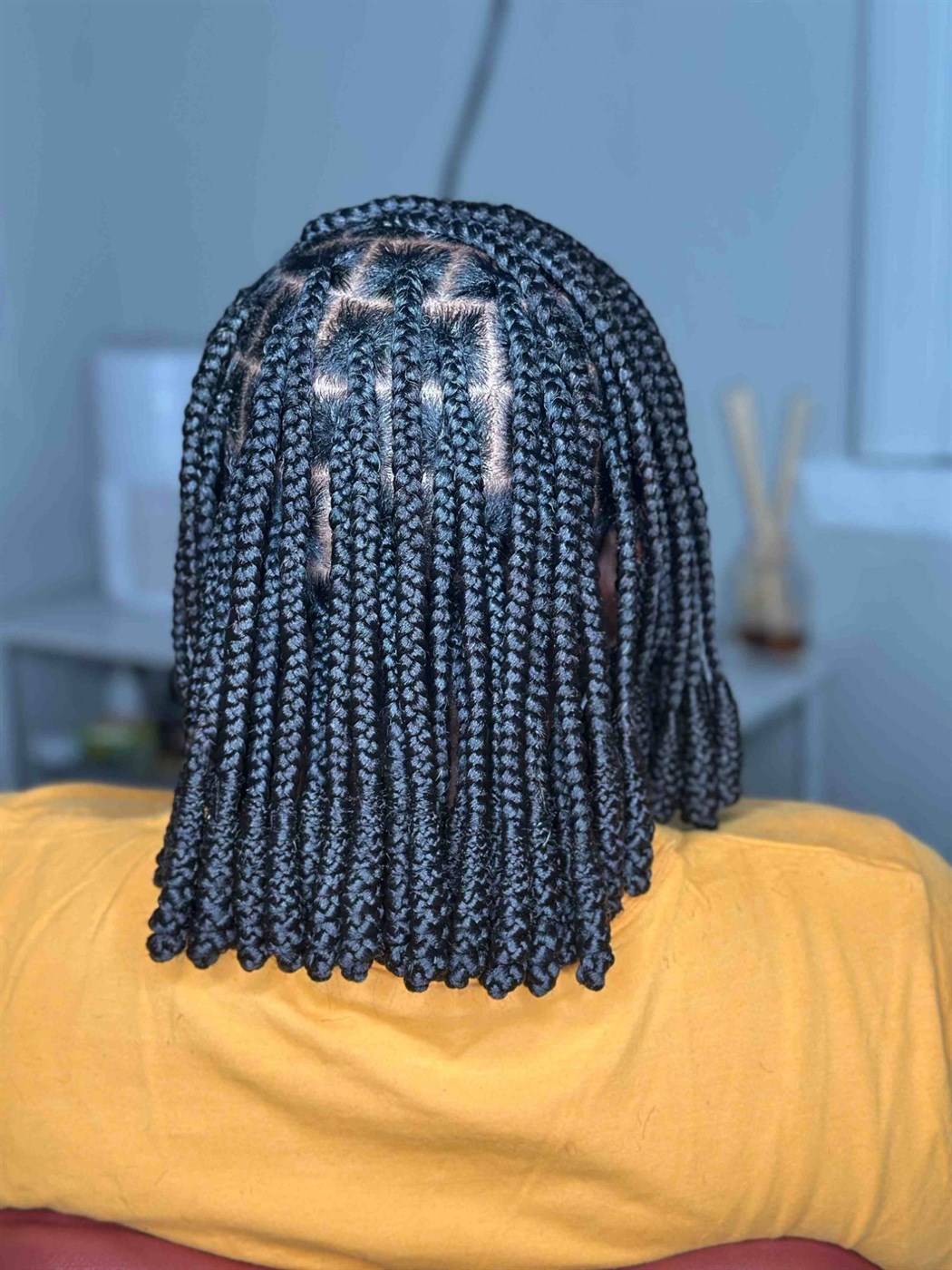Shoulder-length black braids in a bob with clean square parts, seen from behind