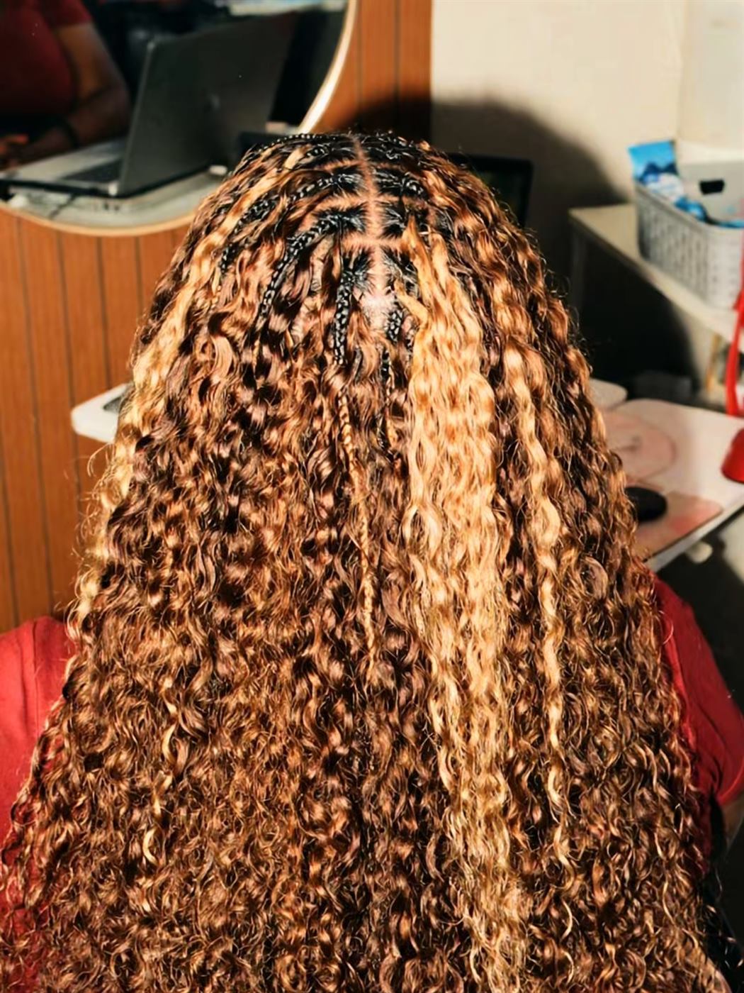 Long boho braids with honey highlights and loose curls, seen from behind